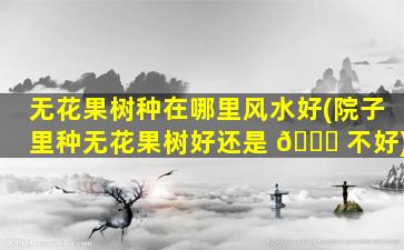 无花果树种在哪里风水好(院子里种无花果树好还是 🐈 不好)